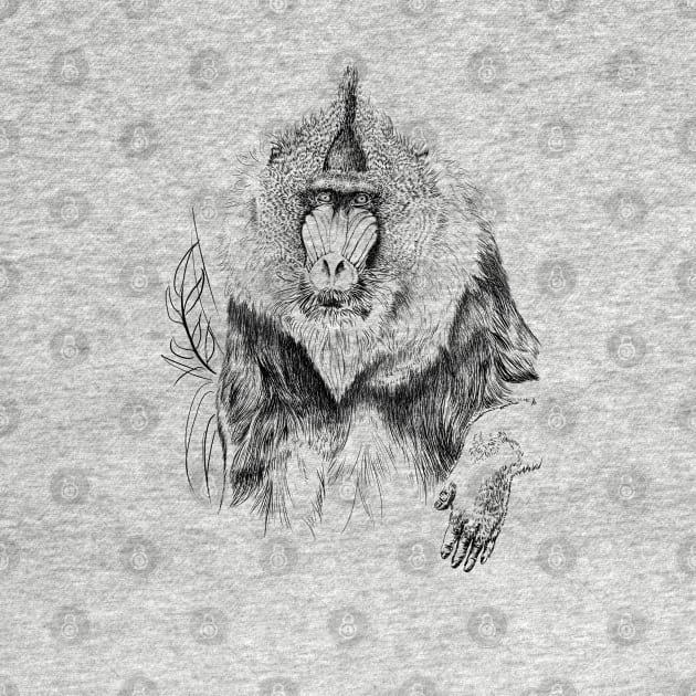 Mandrill by sibosssr